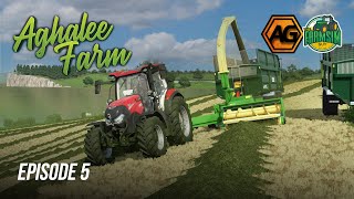 We listened to you! - Aghalee Farms with @ArgsyGaming - Episode 5