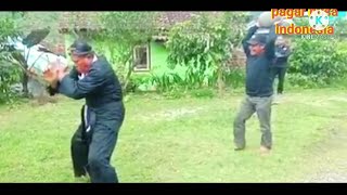 si kakek lagi ngetes ilmu di jamin ngakak