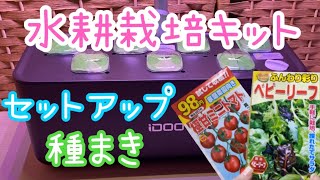 iDOO 水耕栽培キット開封 セットアップ 種蒔き