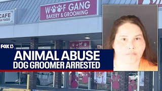 Florida pet groomer arrested on animal cruelty charges