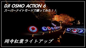 OSMO ACTION 6 への本音、SUPER NIGHTモードがなかなか良かった！