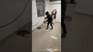 #deepcleaningvlogs #deepglowtrivandrum #pestcontrol #cleaning #professionalcleaners