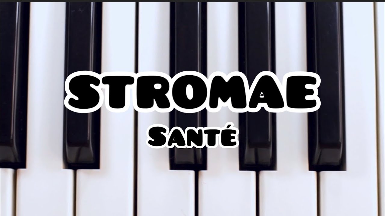 Stromae Santé (Lyrics) YouTube
