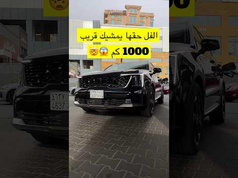 كيا سورينتو 2024 هايبرد الفل حقها يمشيك قريب 1000 كم