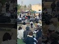 #奇妙礼太郎 #かすみ草 #奇妙礼太郎弾き語りライブ