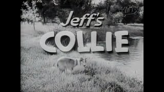 Lassie - (1954–1973)  - Lassie Television - Robert Maxwell Associates.syndicated
