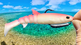 Fishing Australia For Tropical Fish