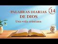 Palabras diarias de Dios: Las tres etapas de la obra | Fragmento 14