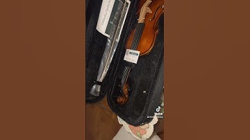 Fiddlerman Apprentice