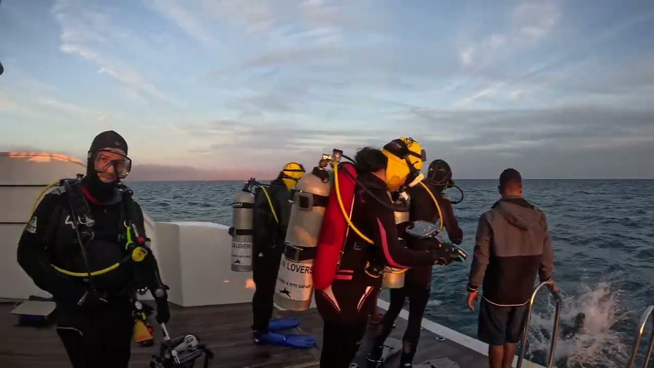 Liveaboard - Red Sea, Egypt - Dec 2024