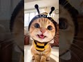 Want to learn how to create hyper-realistic videos using AI?