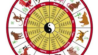 Tahun Tikus 2020 Yang Haiwan Horoskop Mengikut Kalendar Semua Tentang