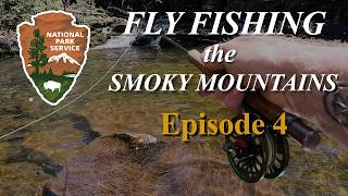 Fly Fishing the Great Smoky Mountains (Ep. 4 of 4, West Prong Little Pigeon River)