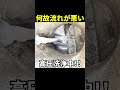 排水不良の原因は？マンション1階キッチンの排水管高圧洗浄@大阪市[台所排水溝掃除]#shorts