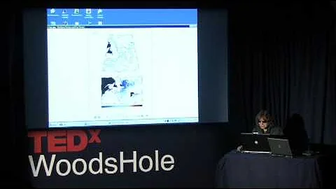 Science without sight | Amy Bower | TEDxWoodsHole