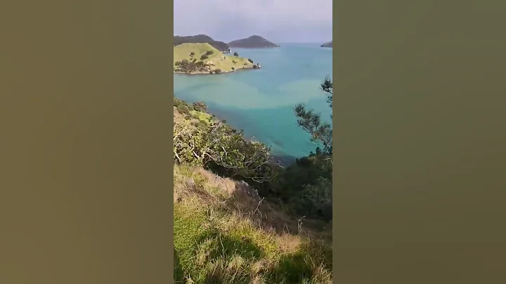 When the weather forecast is wrong! #shorts #fishing #newzealand - DayDayNews