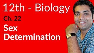 Fsc Biology Book 2 Sex Determination - Ch 22 Variation And Genetics - 12Th Class Biology