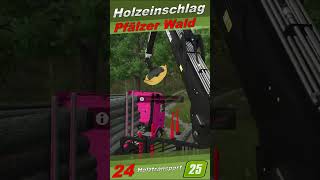 Ls25 Fs25Holzeinschlag Pfälzer Wald24 Holztransport