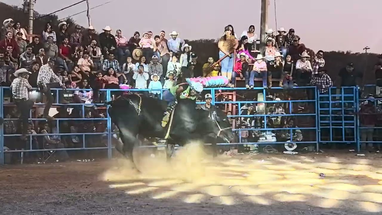 JARIPEO 14 DE FEB 2026 EL PORVENIR CHIMALAPA MONTA 18