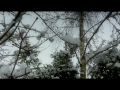 Snow 2010 - Short Film (Kodak Zi8)