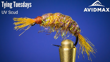 How to tie a UV Scud | AvidMax Fly Tying Tuesday Tutorials