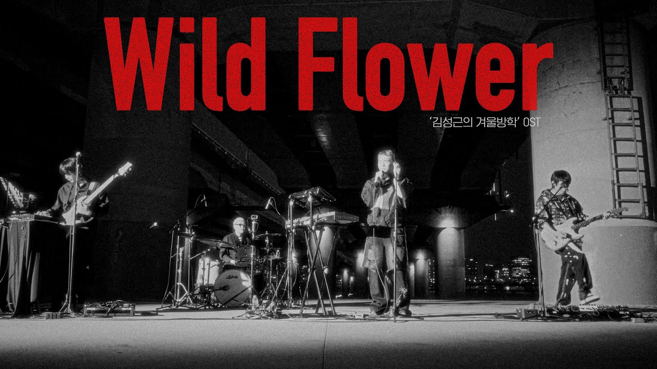 THE SOLUTIONS (솔루션스) - 들꽃 (김성근의 겨울방학 OST) LIVE at 여의도한강공원 / ENG SUB