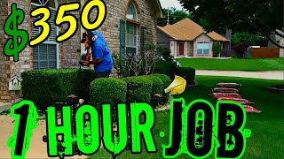 Mulch installation / bush trimming / start to finish flower bed makeover! / lawn care business tips