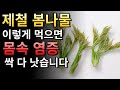 몸속 염증 배출되는 봄나물 이렇게 먹어야 효과적