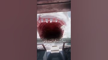وجائت سكرة الموت بالحق - تلاوة مؤثرة للشيخ ياسر الدوسري #اكسبلور #لايك #دويتو