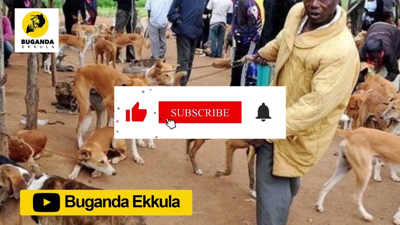 Bwoloota Embwa - Ebirooto Namakulu Gaabyo - Buganda Ekkula