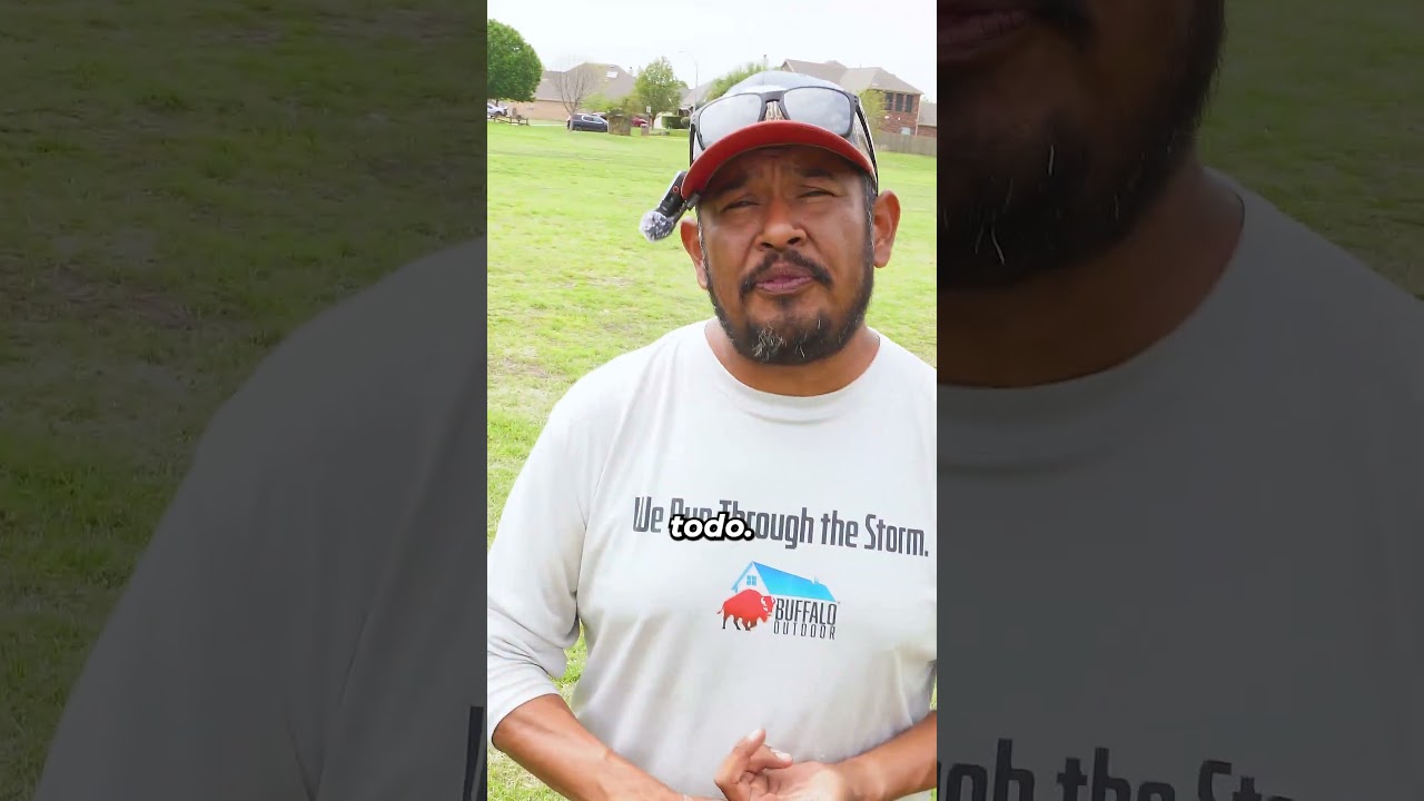 ¿Qué tiene de bueno el césped Bermuda?