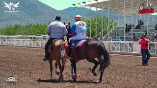 Primer encuentro de Tapados | C. La Esperanza vs C. Dos Naciones | Satevo Race Track - 28/04/2024