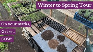 First sowings and prepping beds for spring planting screenshot 2