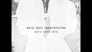 Video thumbnail of "Acro Jazz Laboratories - Realize (feat. Sam Ock)"