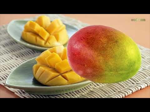 Video Quả xoài hạ glucose máu, phòng bệnh đái tháo đường - youtube