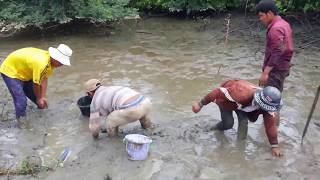 Net Fishing at Pailin Province - Cambodia Traditional Fishing - Khmer Cast Net Fishing (Part 068)