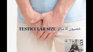 Testicular Sizeخصیوں کا سائز Myths And Misconceptions By Dr. Fartash Sarwar Urduhindi