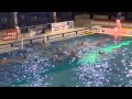 A2 maschile: highlights di BPM - Lavagna