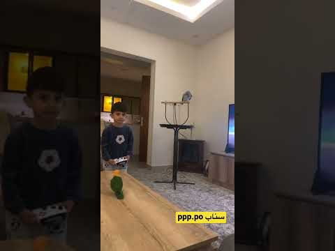 ينادي مشعل يقوله تبغى اكل