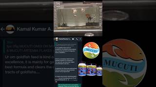 Celebrity ANDHRA PRADESH CUSTOMER REVIEWS MUCUTI OMG! OH MY GOLDFISH FISH FEED! 🤯 Contact: +918830757721 Wealth