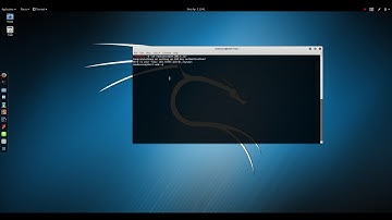 PicoCTF 2017 - Internet Kitties