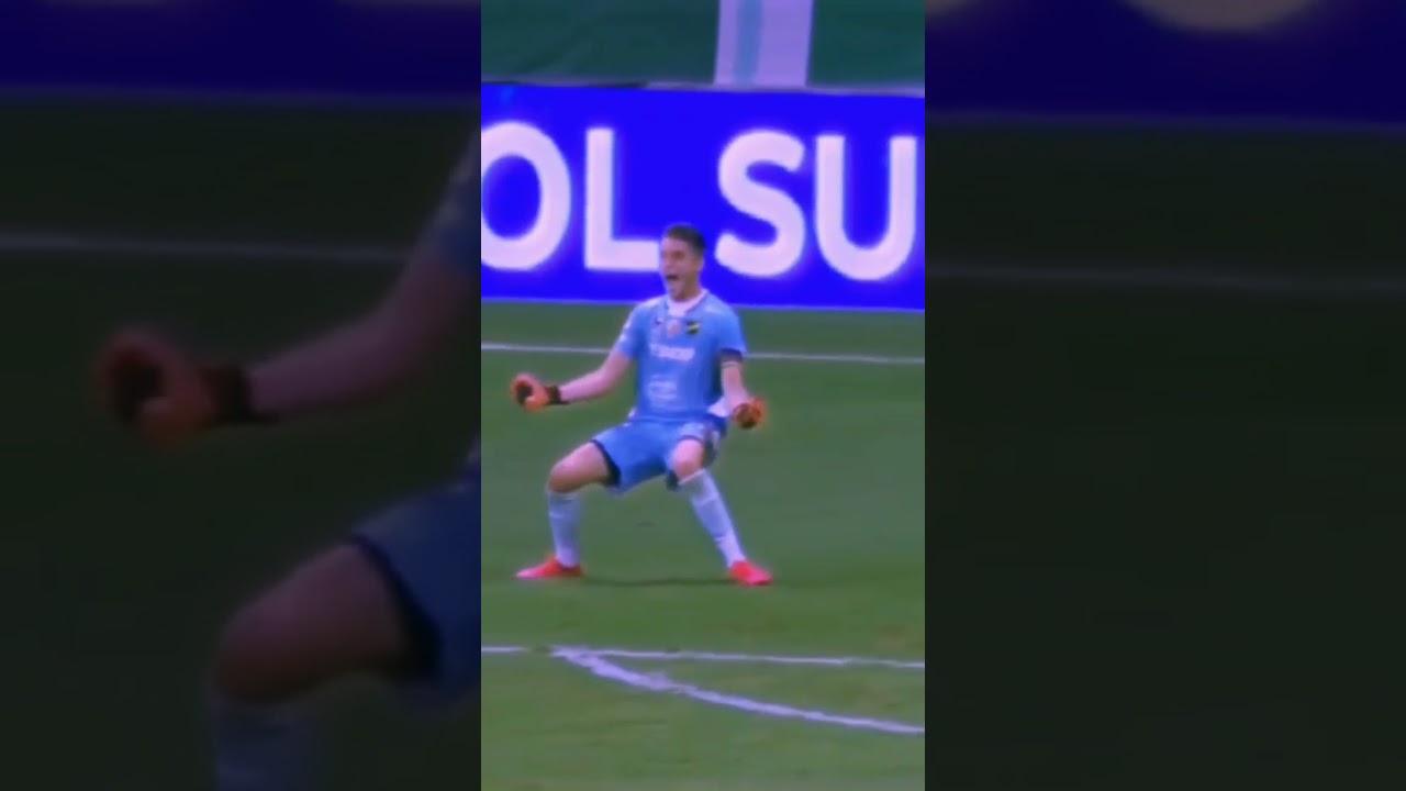 Video Quality Is Severely Lost Capcut Defensayjusticiaoficial Halcon Palmeiras Argentina Br Youtube Video Quality Is Severely Lost Capcut Defensayjusticiaoficial Halcon Palmeiras Argentina Br Youtube