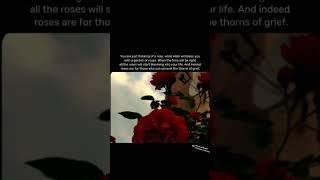 Maula Ya Salim Wa Salimwith sahzadiislamicyaallahmohammadsallalahualihiwasalum