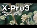 【X-Pro3 作例】新グレインエフェクト＋クラシックネガを使ってデジタルでフィルム風な写真を再現（FUJIFILMミラーレス一眼カメラ）
