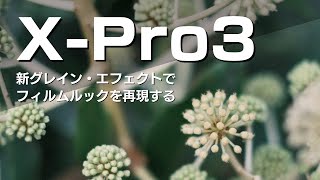 【X-Pro3 作例】新グレインエフェクト＋クラシックネガを使ってデジタルでフィルム風な写真を再現（FUJIFILMミラーレス一眼カメラ）