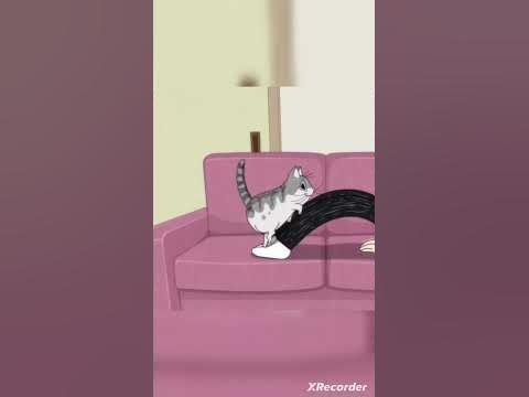 Вечера с кошкой #anime #аниме - YouTube