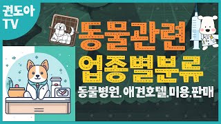 동물관련 업종별 정리, 동물병원, 애견호텔, 애견미용, 동물판매업