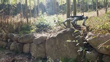 Lynx M20 Robot Conquers Extreme Terrain  Deep Robotics Innovation