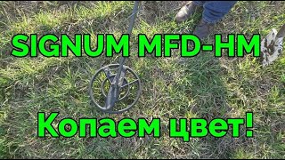 Интересный коп с металлоискателем AKA Signum MFD-HM на выбитом месте.