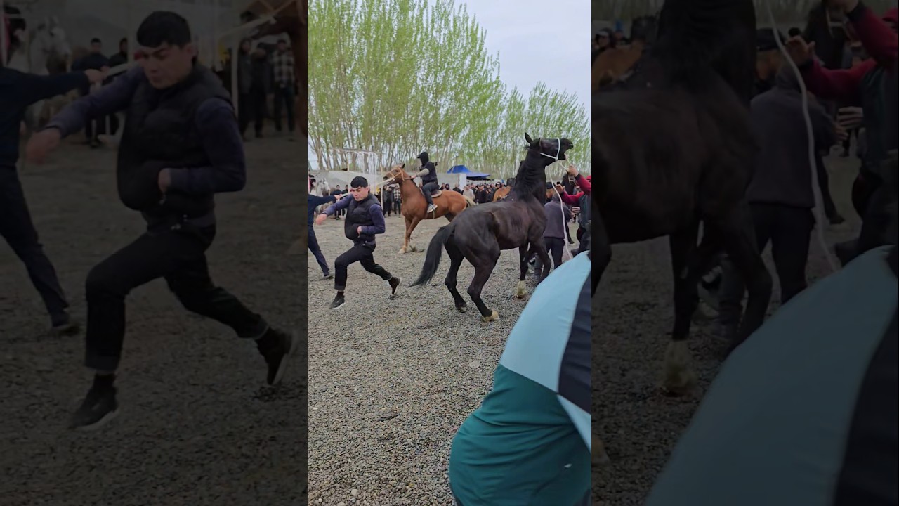 Ot bozorida Extiyot bo'ling